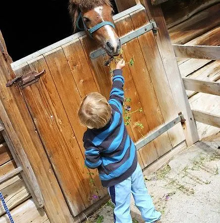 Farm Geislerhof Gerlos