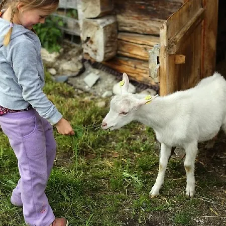 Farm Geislerhof Lägenhet *