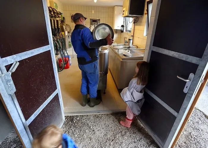 Farm Geislerhof Appartement *