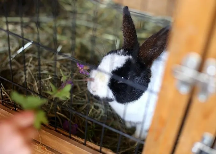 Farm Geislerhof Appartement Gerlos