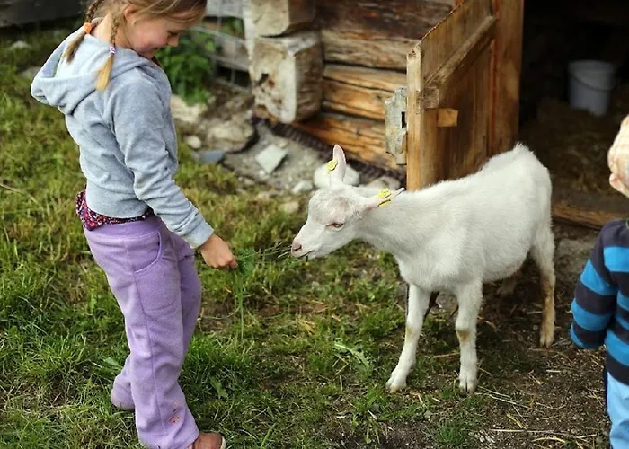 Farm Geislerhof Appartement *