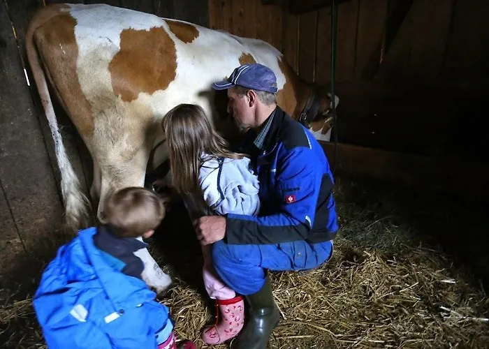 Apartament Farm Geislerhof