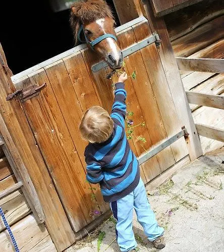 Farm Geislerhof Gerlos