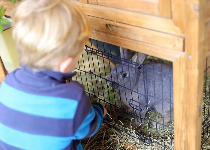 Apartament Farm Geislerhof *