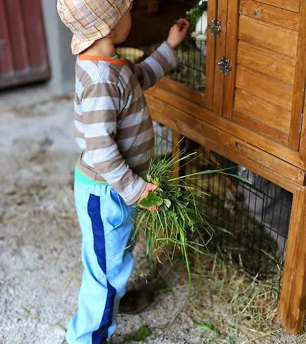 Apartament Farm Geislerhof Gerlos