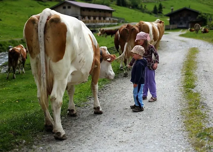 Farm Geislerhof Apartament