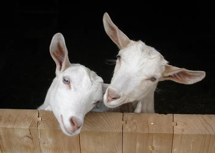 Farm Geislerhof Apartament *